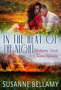 BC_in the heat of the night ebook cover